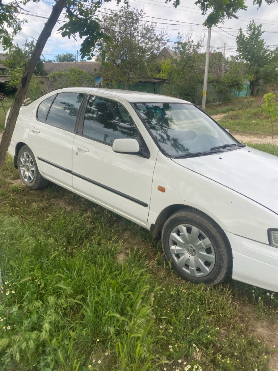 Nissan Primera foto 2