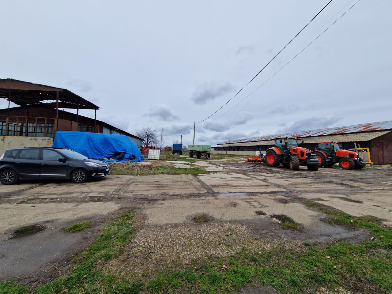 Ferma de pesti Romania foto 1