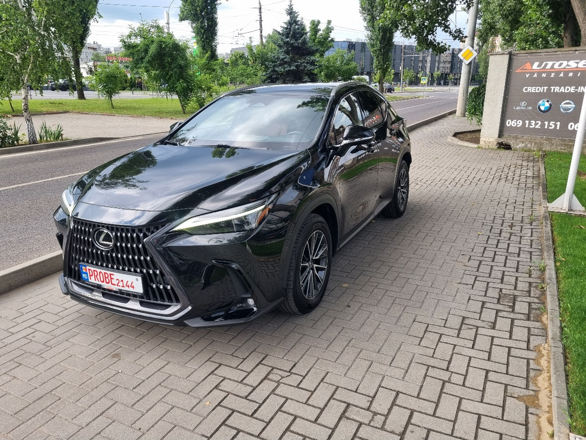 Lexus NX Series 2022