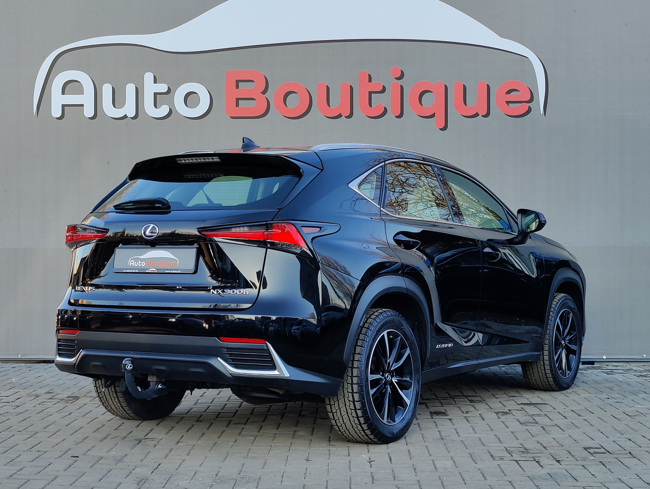 Lexus NX Series foto 6