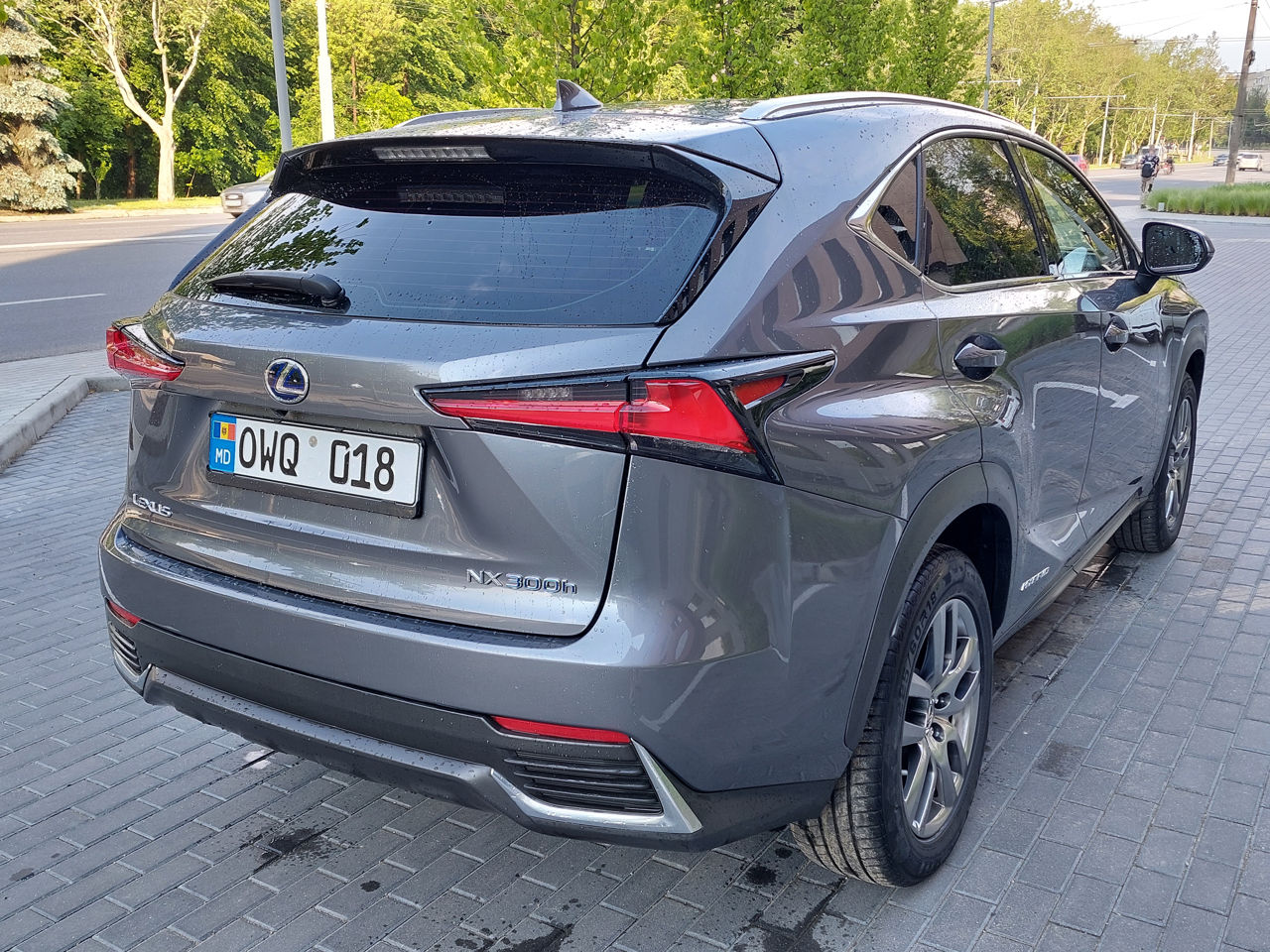 Lexus NX Series foto 4