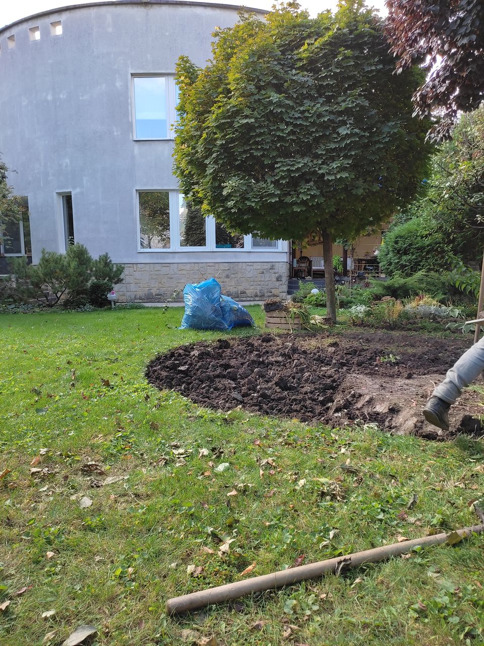 Curatim gradina sadirea copacilor озеленения сажаем деревья foto 0