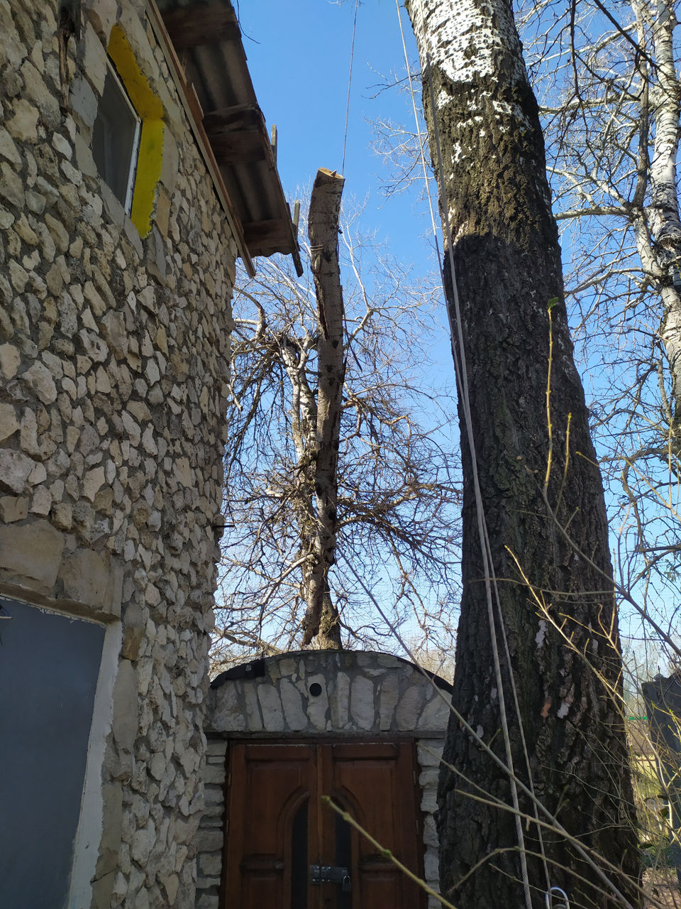 Спил деревьев и веток, кронировние, уход за насождениями foto 5
