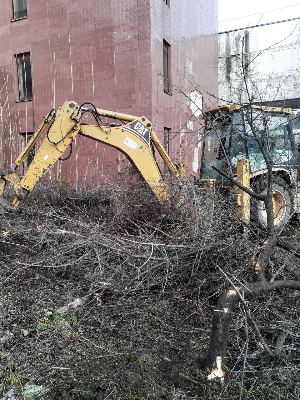 Defrisarea taierea copacilor Распил деревьев foto 4