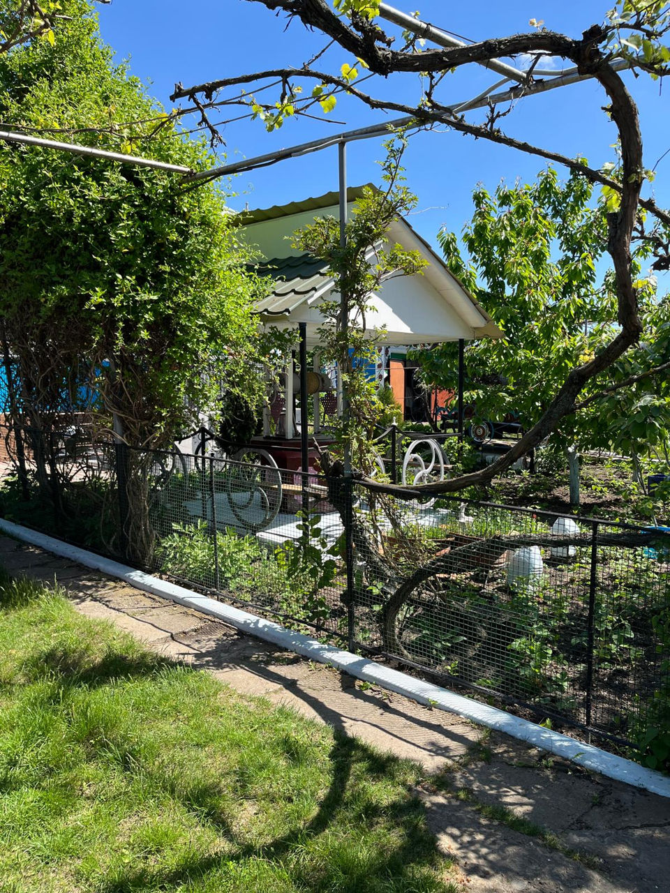 Gospodărie de vânzare – Mihălășeni, Ocnița – 24.000 € (negociabil) foto 4