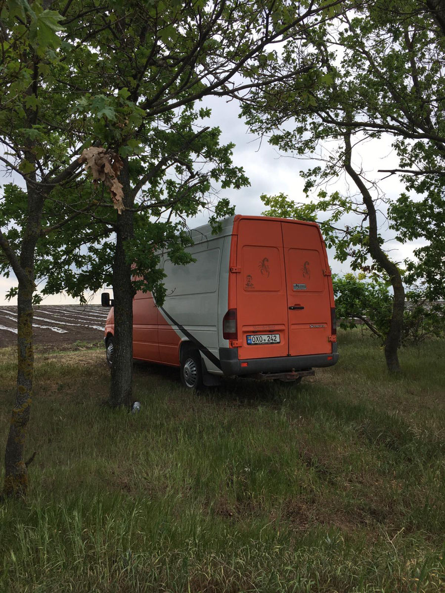 Mercedes 313 foto 5