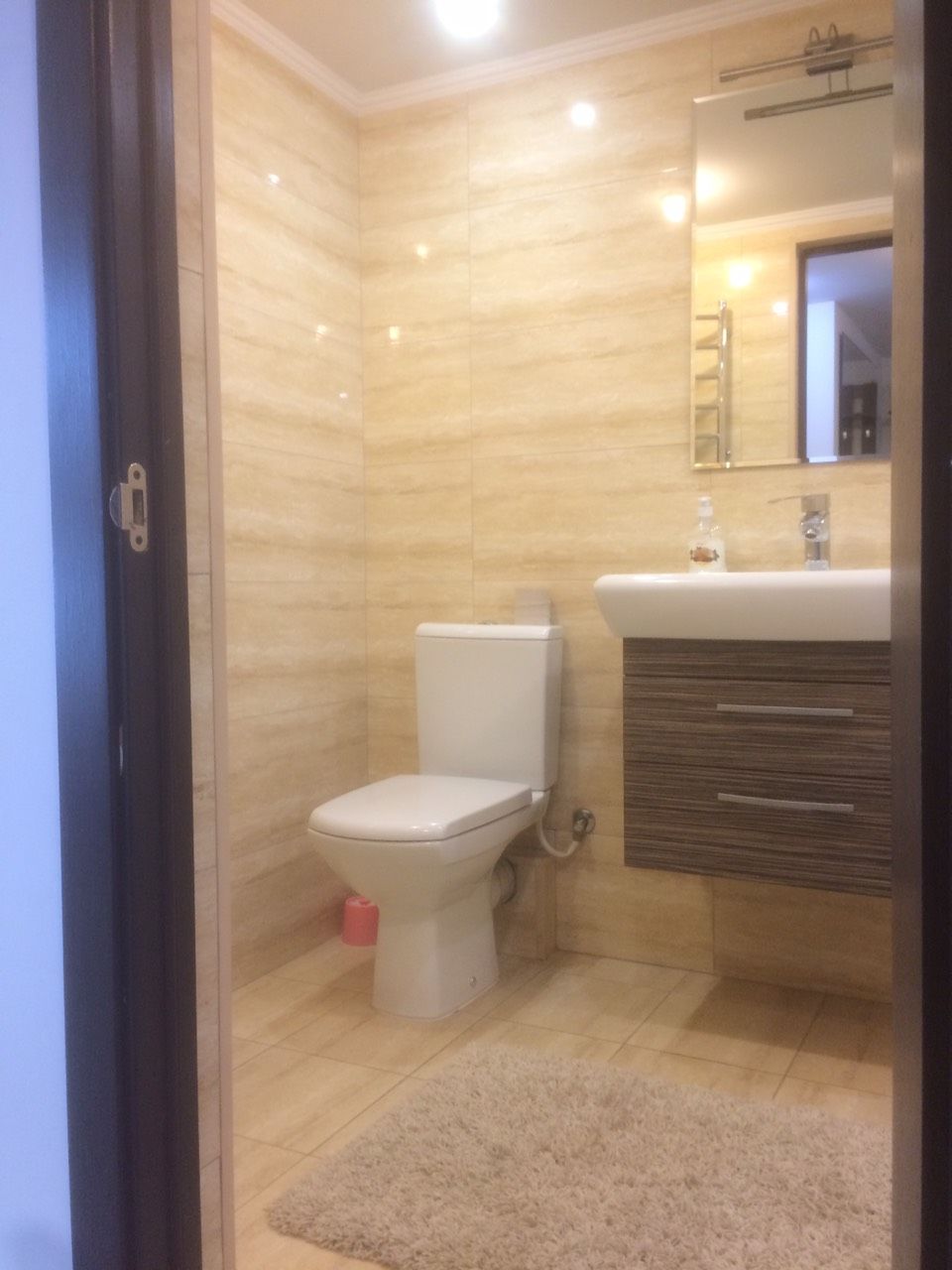 Apartament cu 1 cameră, 60 m², Botanica, Chișinău foto 7