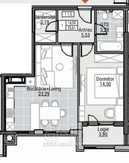 Apartament cu 1 cameră, Centru, Durlești, Chișinău mun.