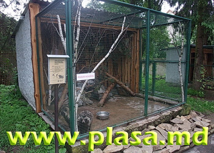 Plasa pentru custi,voliere,imprejmuire,tencuiala,umbrire,cernut,gabioane,armare foto 4