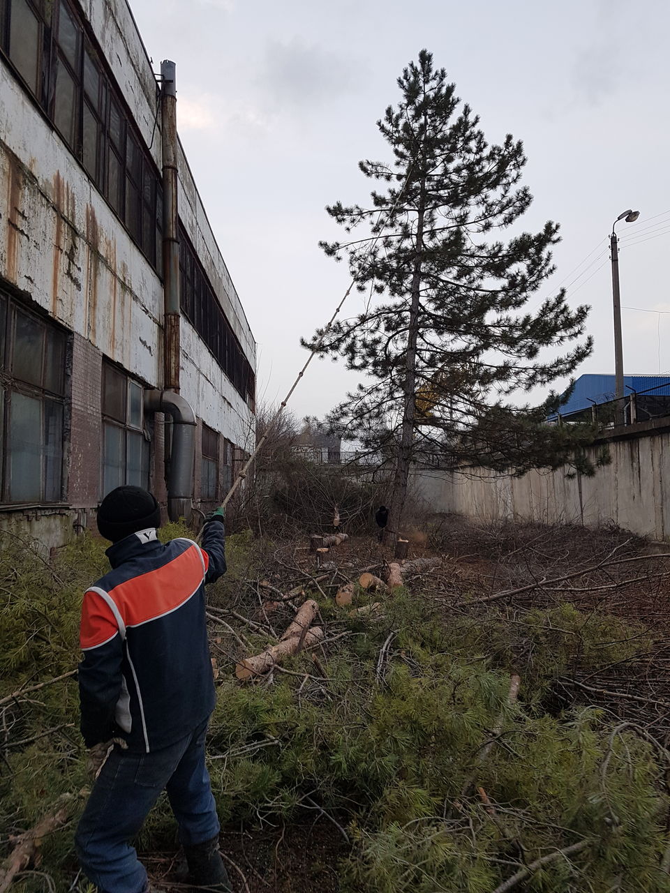 Facem curat in gradina linga casă curat la vila foto 7