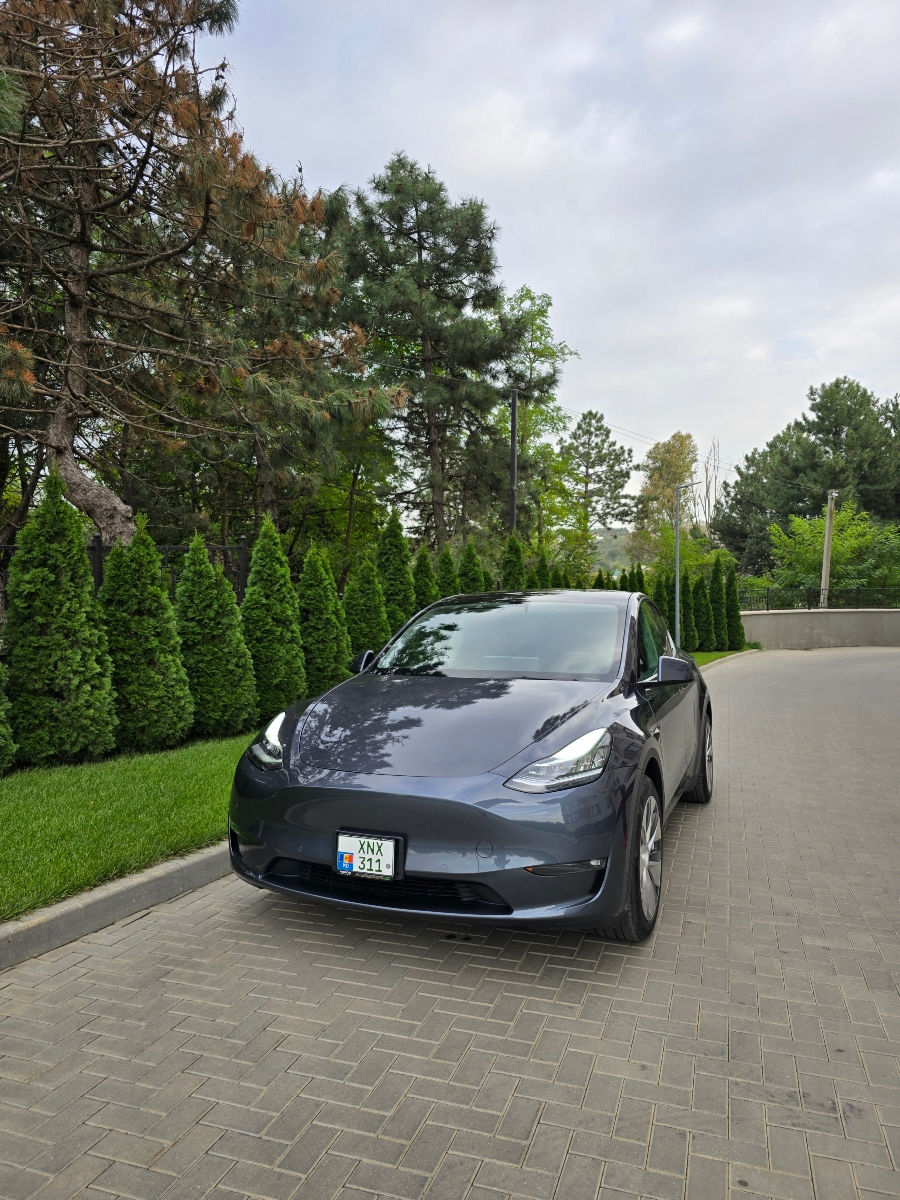 Tesla Model Y foto 0