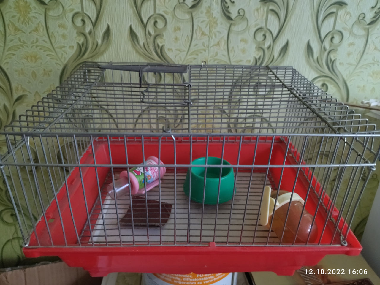 Питомцы и растения
