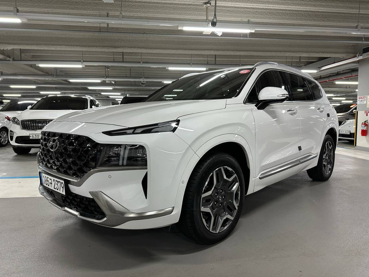 Hyundai Santa FE фото 6