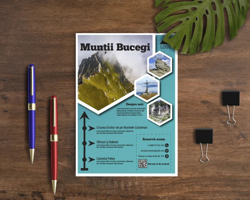 Logo design profesional, logouri, Graphic design foto 18