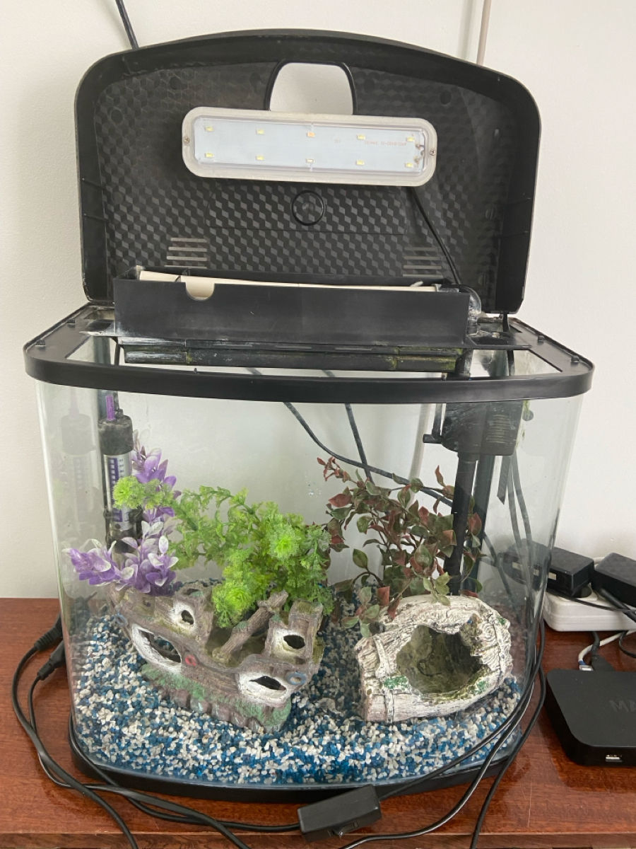Acvarium cu tot ce este în el foto 1