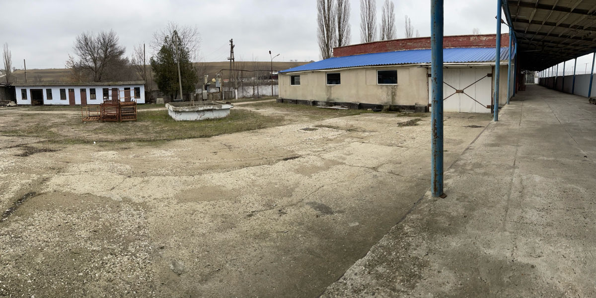 Zaim Промышленный холодильник  фото 8