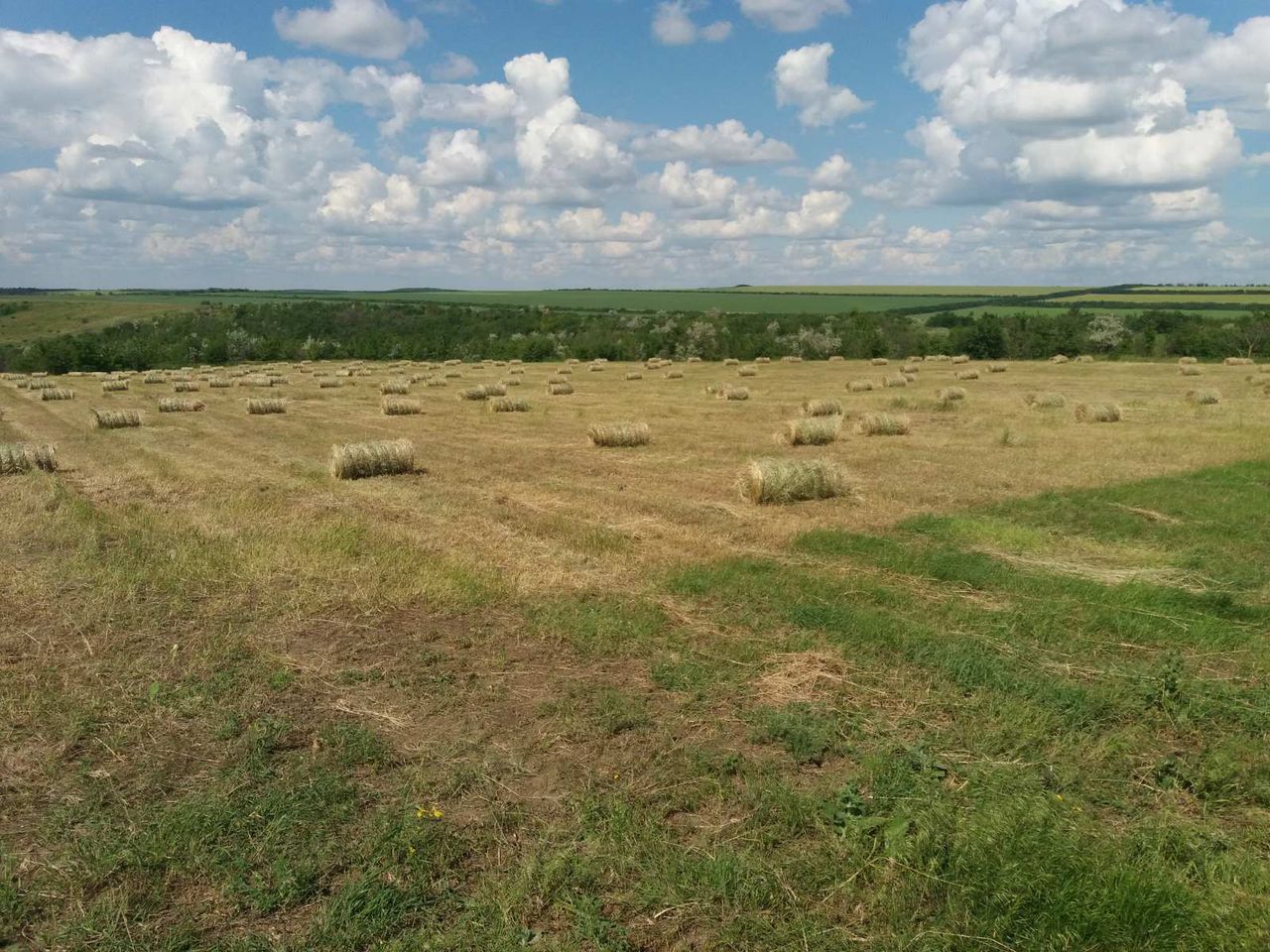 Сено
