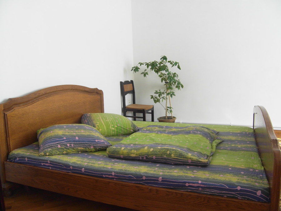 Vila Crinilor casa in chirie cu sauna si biliarde !!! фото 3