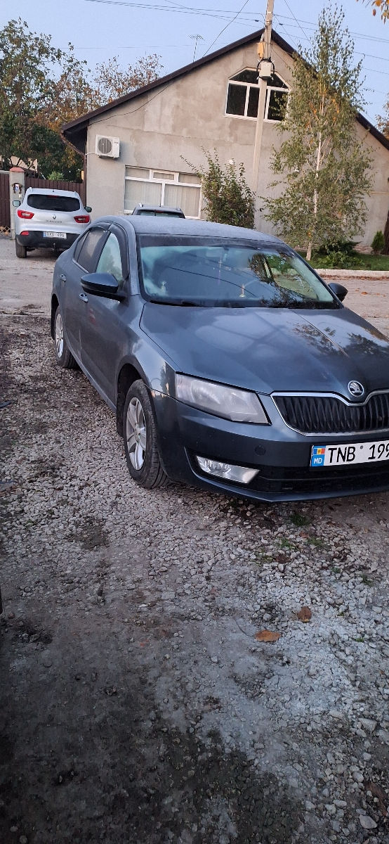 Skoda Octavia foto 7