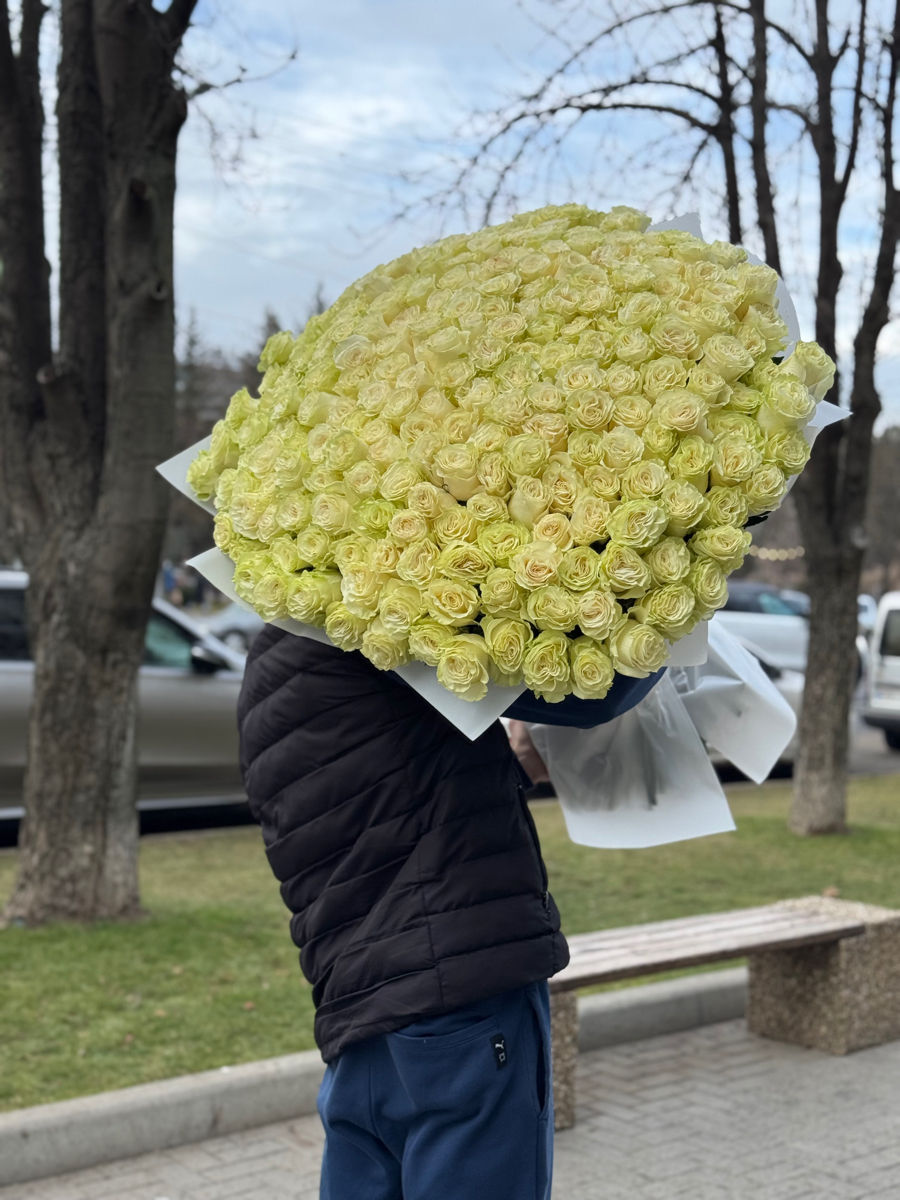 101 lalele - 2000 lei / Preț angro la mai multe bucăți foto 0