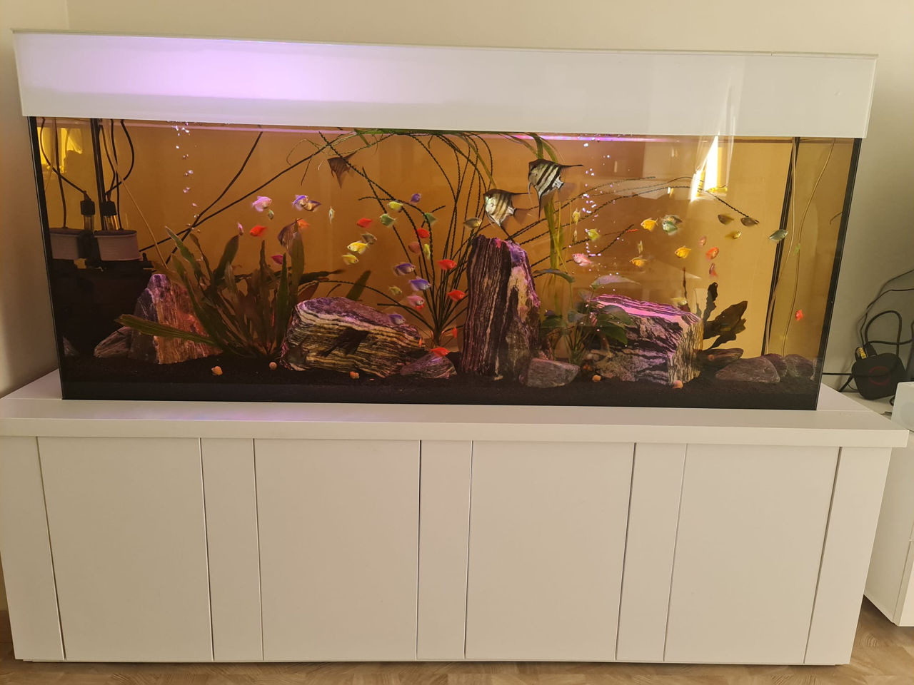 Настенный аквариум 10 литров