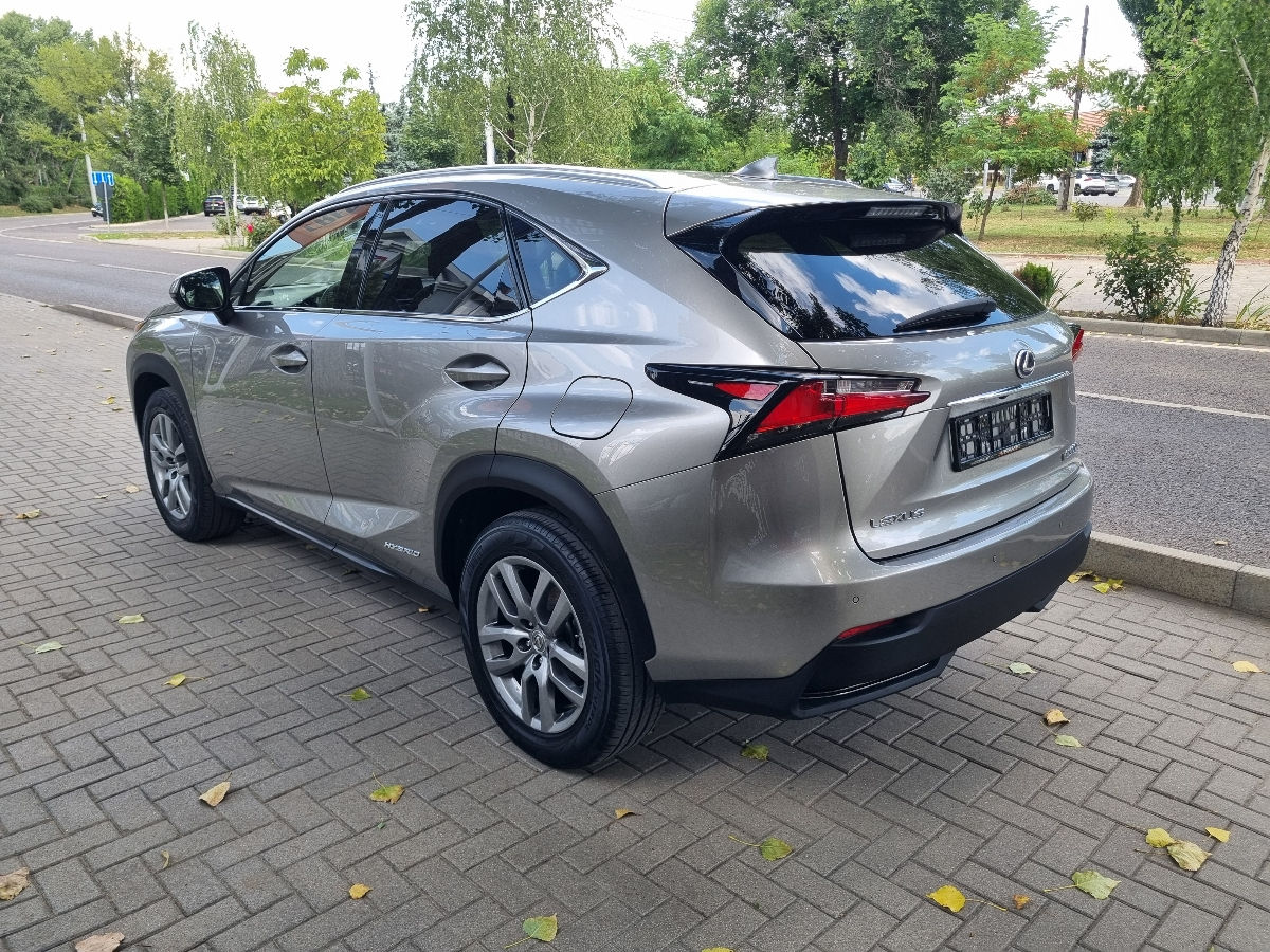 Lexus NX Series 2014 photo 7