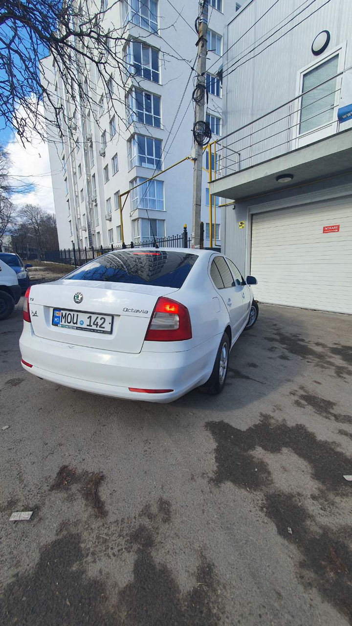 Chirie auto/Аренда авто - Livrare /Доставка 24/24 , Arenda auto Chisinau, Rent a Car Chisinau foto 8