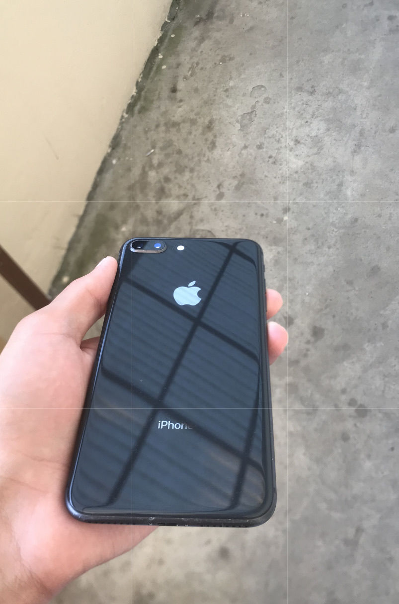 Apple 8 plus