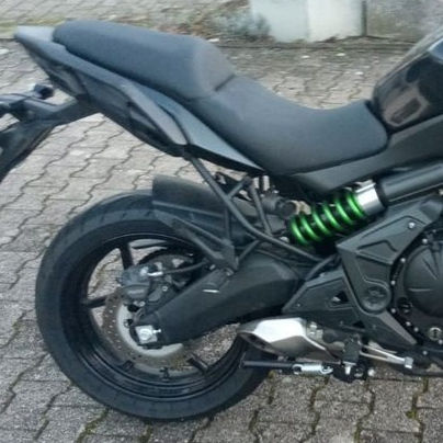 Kawasaki Versys 650 foto 0