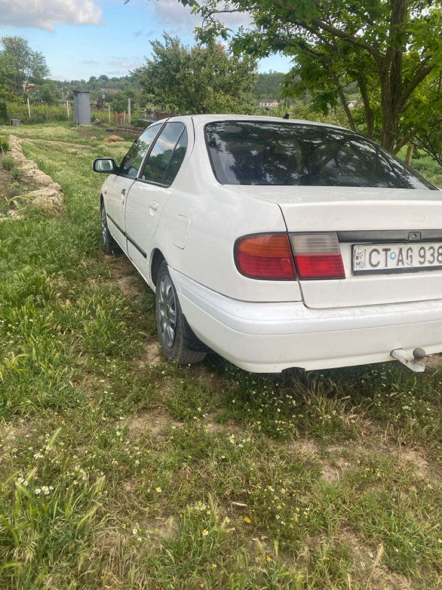 Nissan Primera foto 4