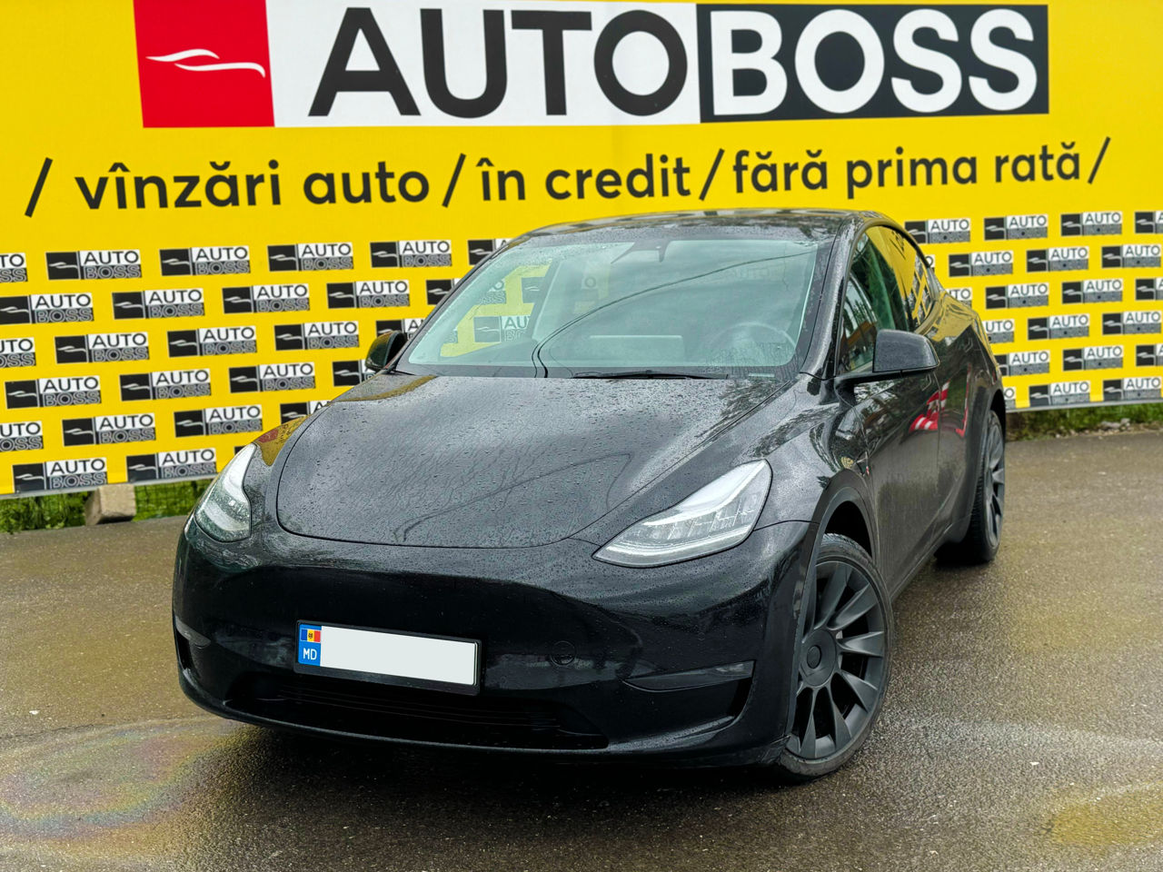 Tesla Model Y foto 0
