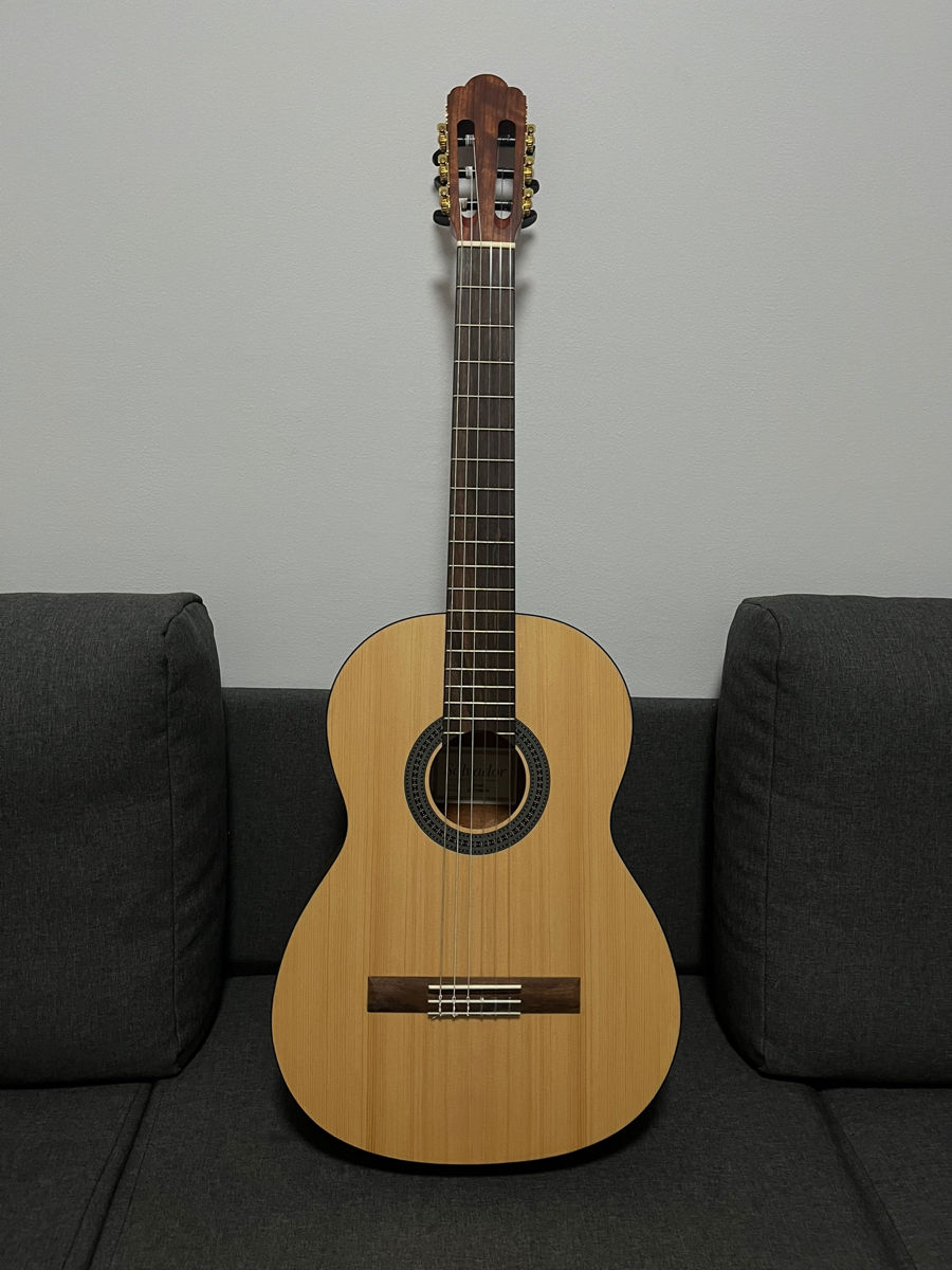 Гитара новая Salvador CS 244