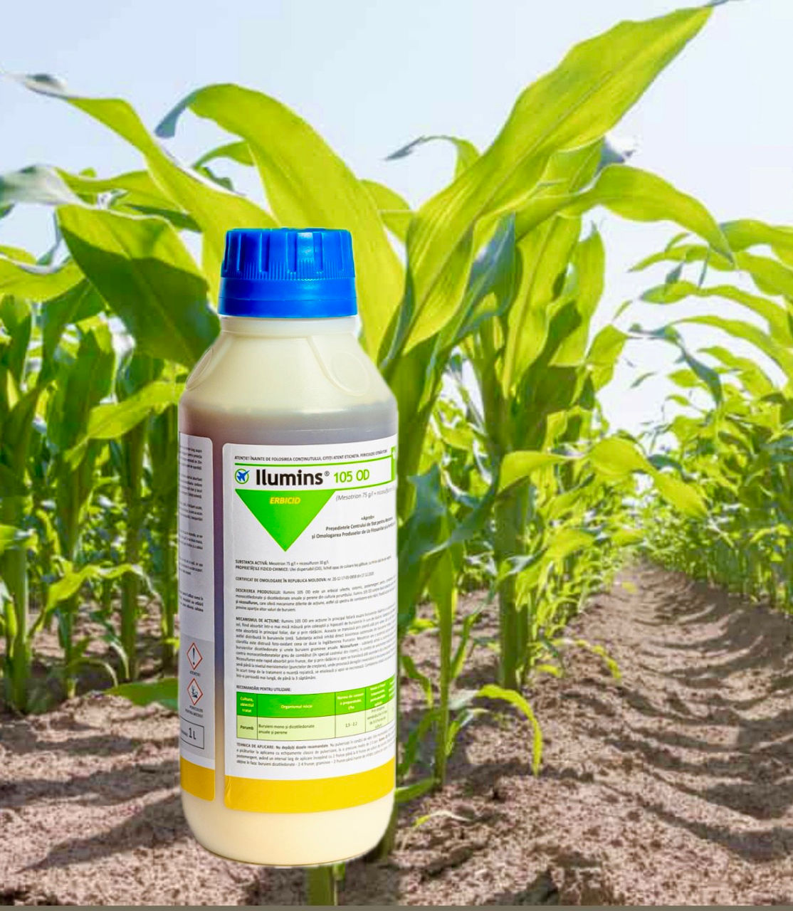 Erbicid Mesotrion 75 g/l + Nicosulfuron 30 g/l Ilumins 105 OD (elumis) prețul se negociază foto 0