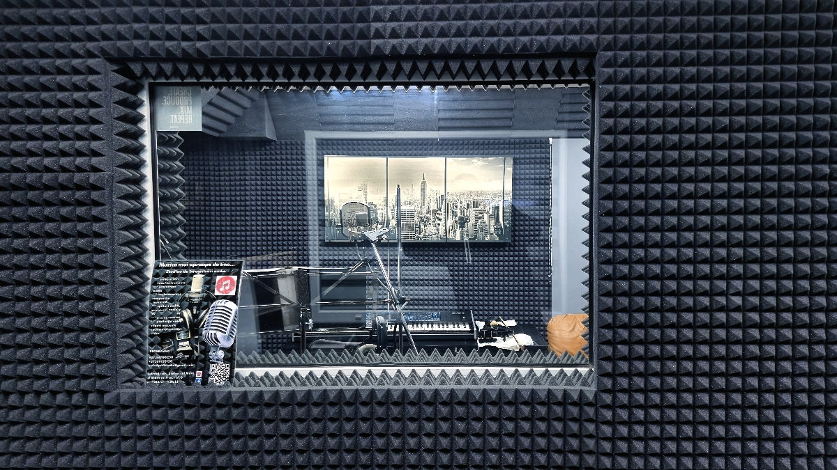 MelodyStilStudio, Aranjamente muzicale, imprimări vocale și instrumentale, negative. foto 5