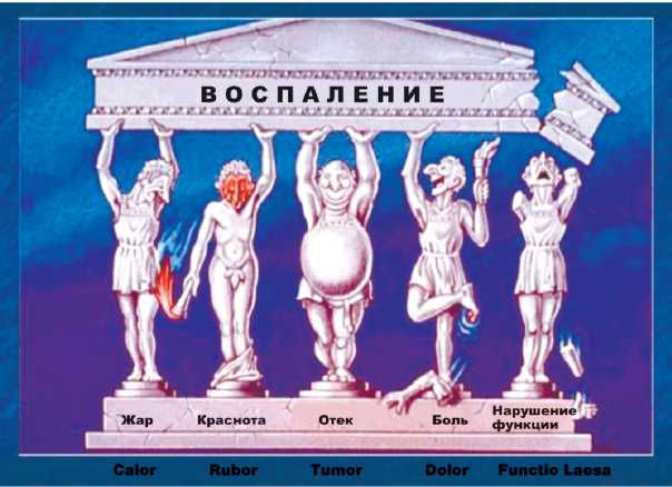 Почувствуй свободу движений  3 часа !!!  общего комбинированного массажа foto 1