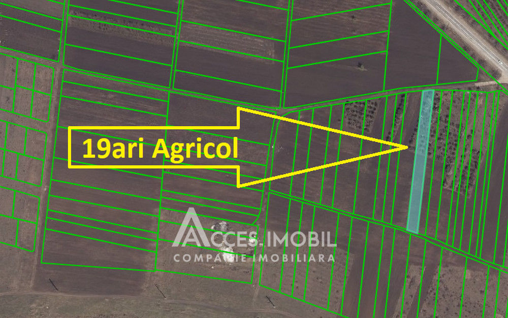 Teren agricol 19 ari, Tohatin! foto 4