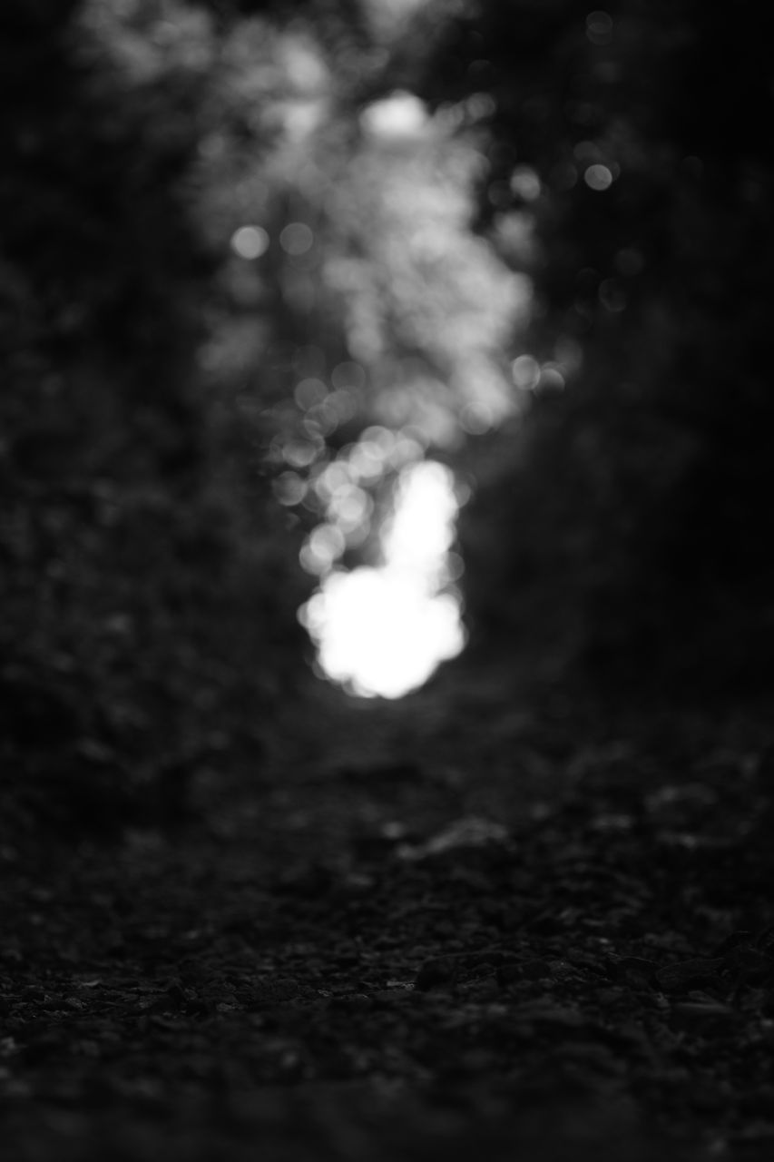 Sony nex - 7, карманный шедевр.