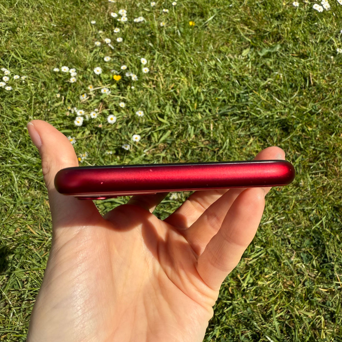 Apple iPhone 11 Red foto 7