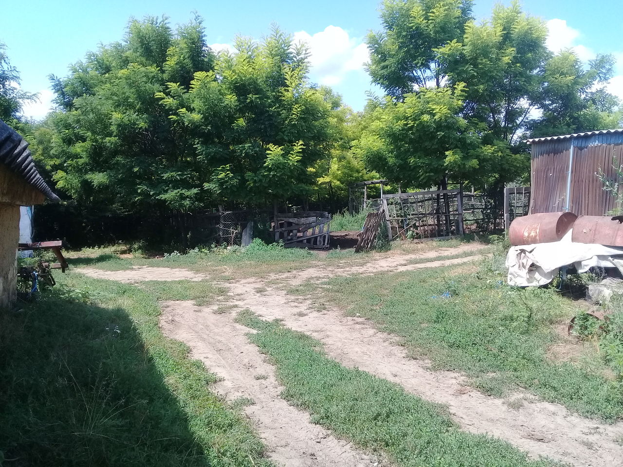 Vindem  ferma de vaci, la dorinta poate fi si stina de oi sau capre foto 2