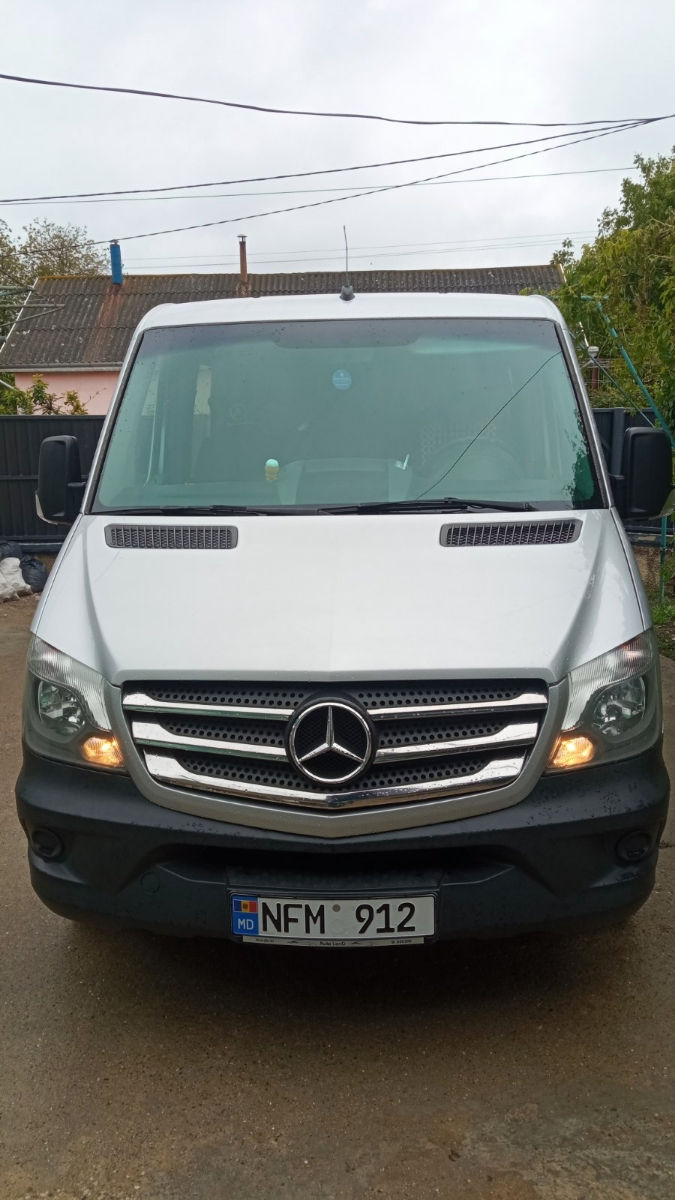 Mercedes ДЕЛЬФИН фото 0