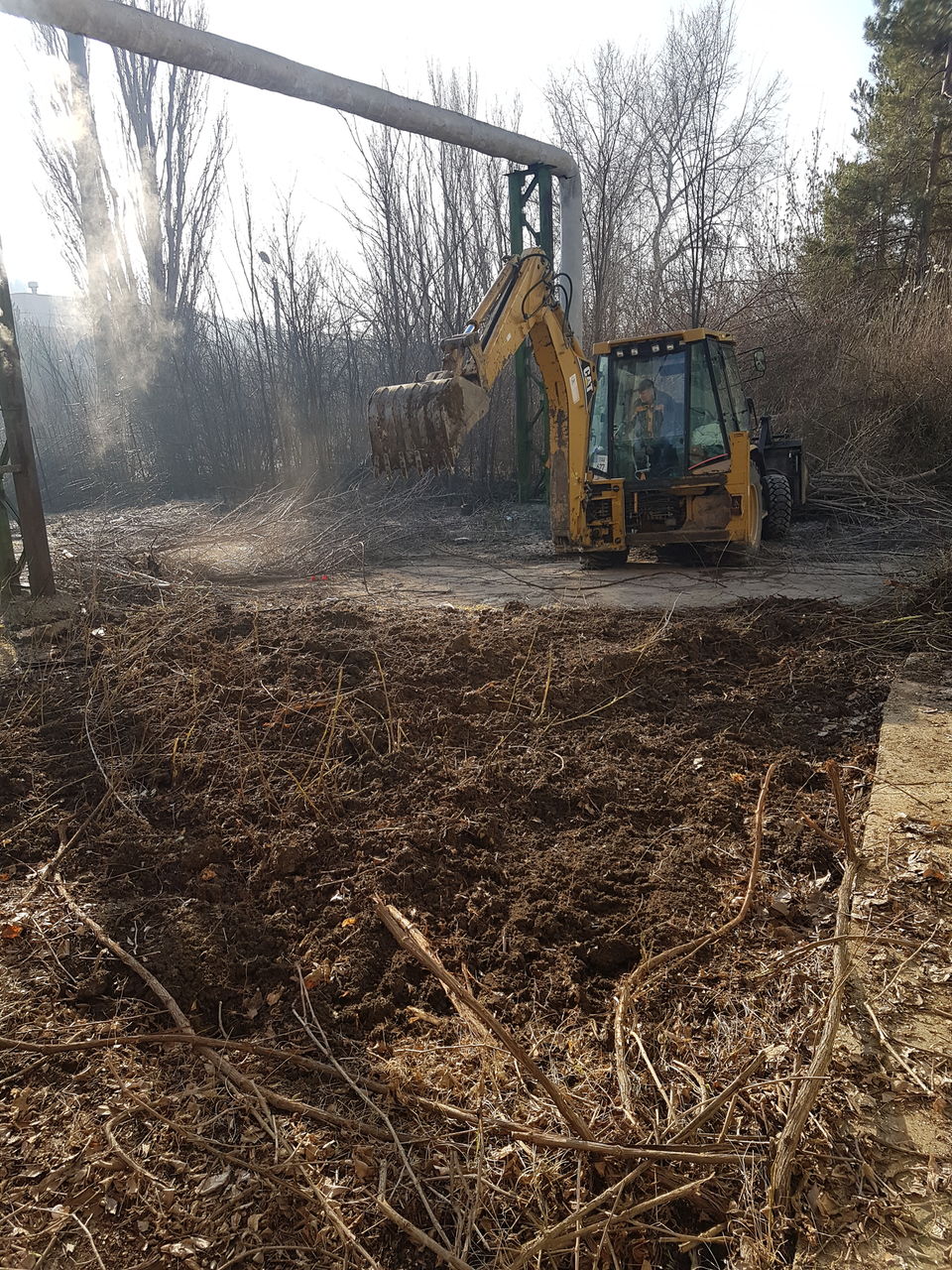 Curat in gradina la vila. Curatare defrisare teren.Taierea copacilor foto 4