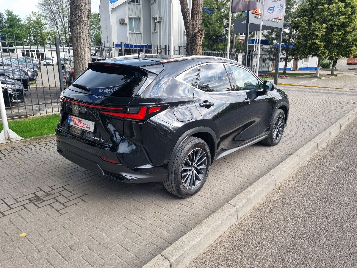 Lexus NX Series 2022 photo 5