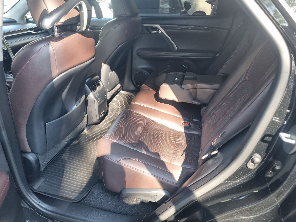 Lexus RX Series 2022 photo 12