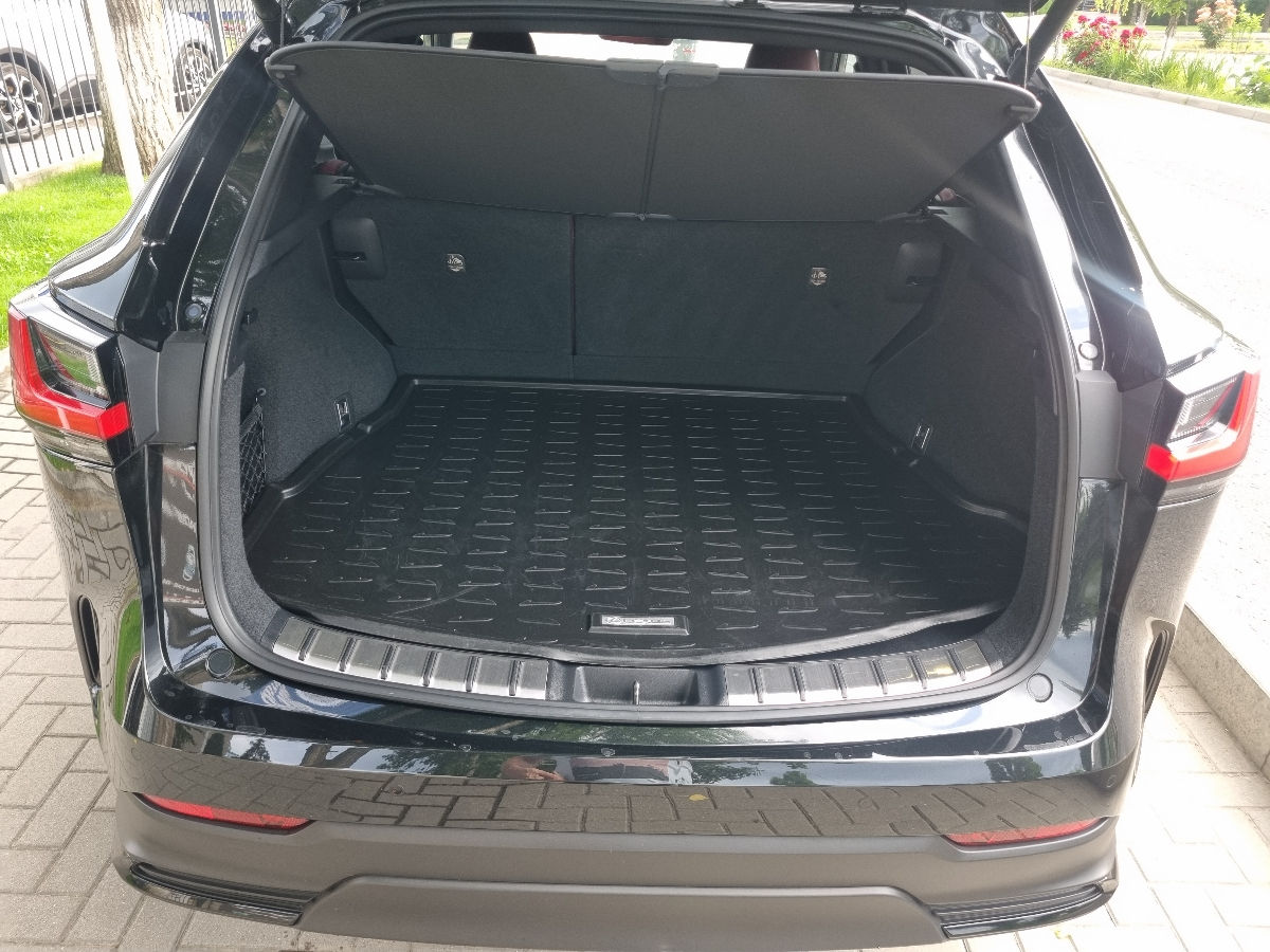 Lexus NX Series 2022 photo 19