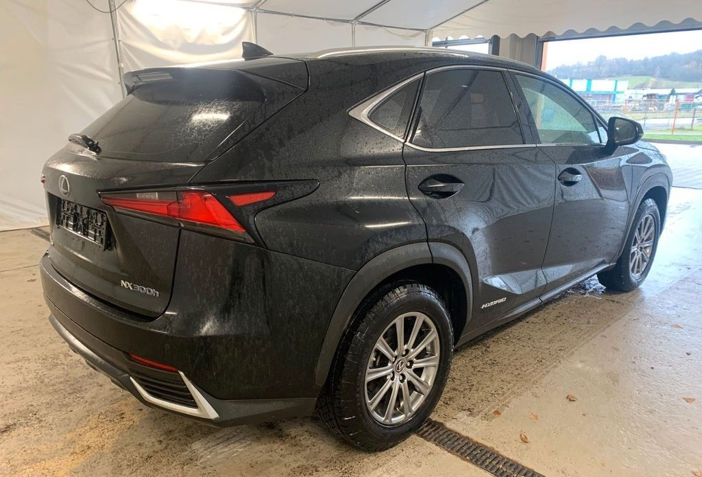 Lexus NX Series foto 2