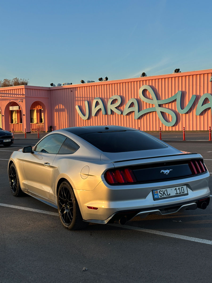 Ford Mustang foto 6