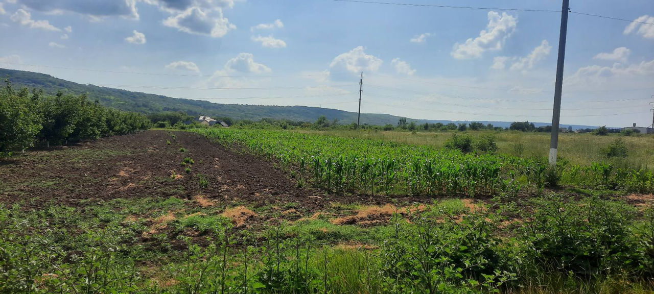 1 ari la traseu, 15 metri iesire spre traseu, 143 m în adîncime, acces de pe 2 drumuri, cu gaz, apă  foto 6