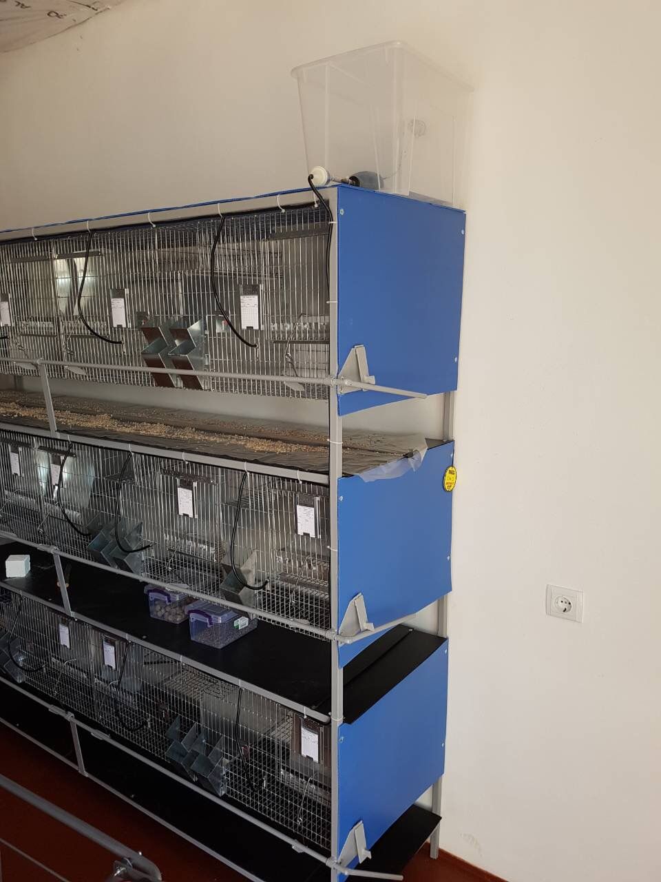 Important! vindem familii de chinchile (șinșila,chinchila,шиншила,sinsila)din ungaria. foto 5