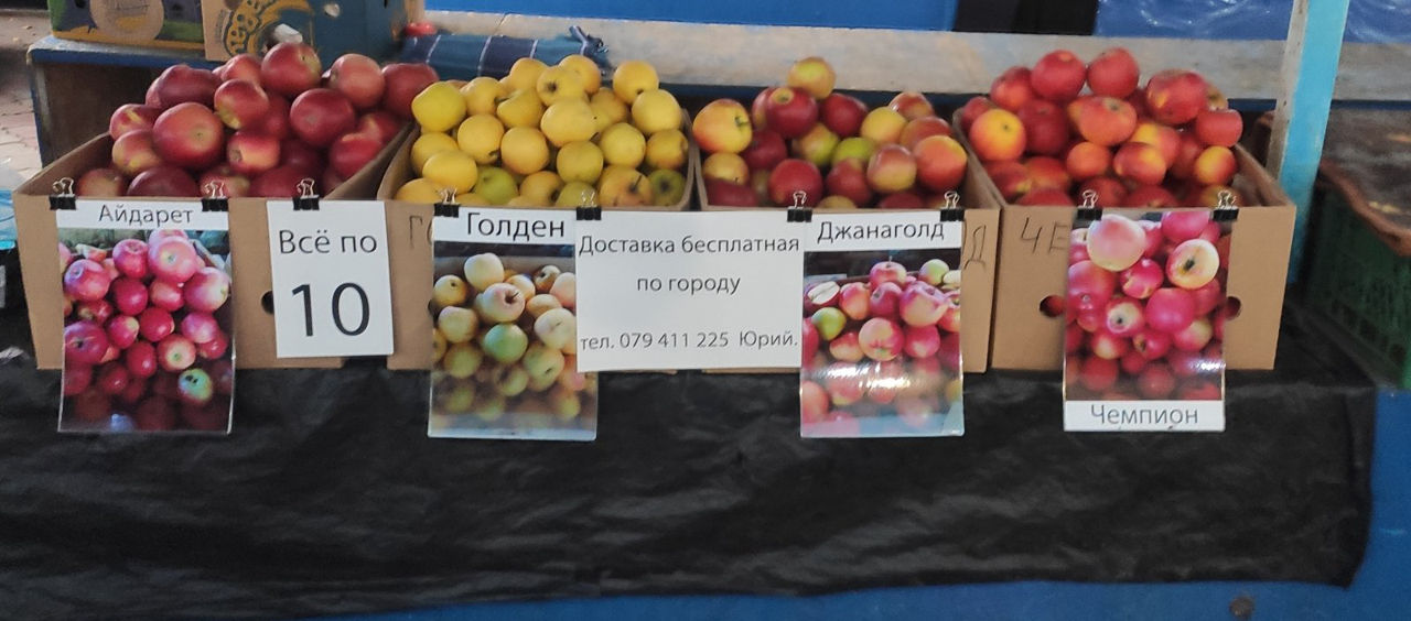 Продам яблоки Айдарет , Голден , Джанаголд , Чемпион