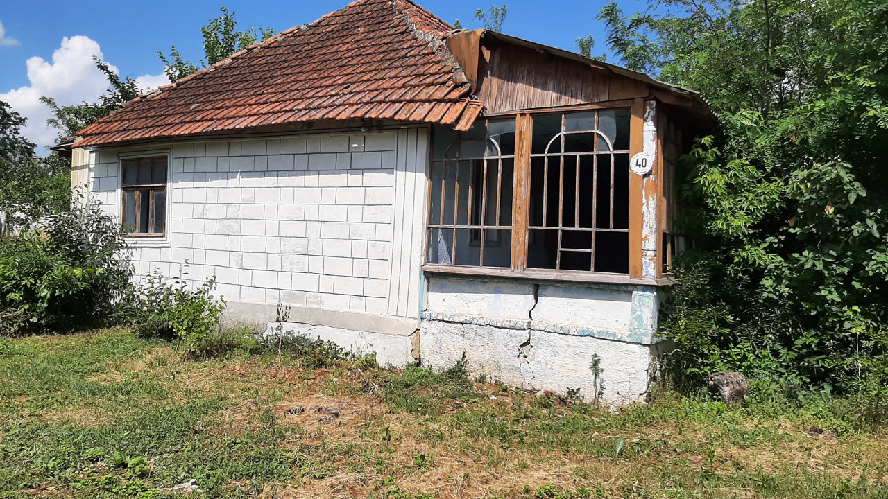 Lot pentru construcții 25 ari cu casa și beci în Berezlogi, Orhei фото 7
